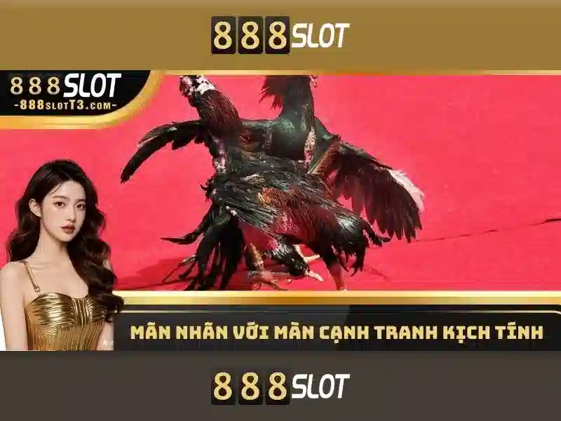 888slot - Trải nghiệm chơi slot trực tuyến đáng tin cậy
