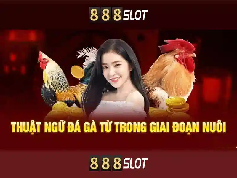 888slot - Đánh giá và Trải nghiệm Slot Online