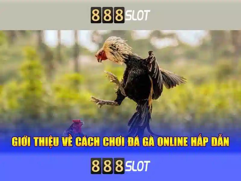 Sản phẩm và dịch vụ của 888slots 33