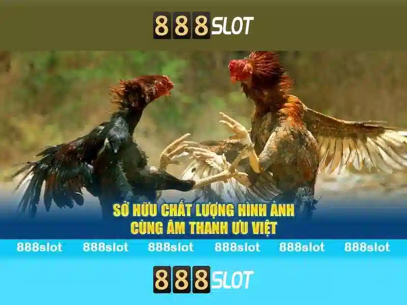 https://yesecart.com/images/text/888slot/888slot-text260305929.webp Thanh toán và an toàn