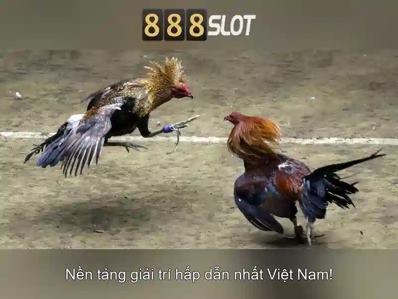 888slot: Trò chơi slots và trải nghiệm casino trực tuyến