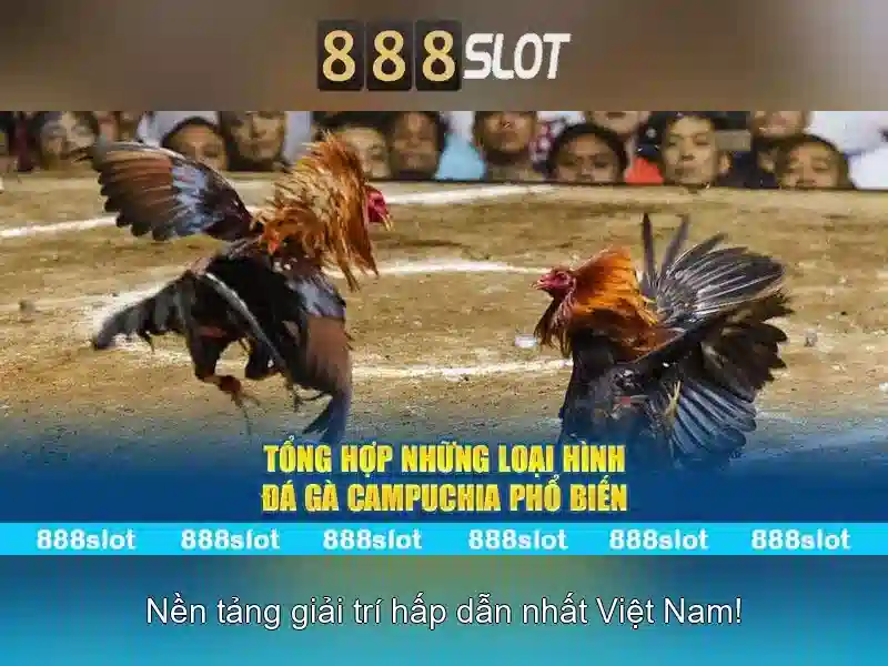 rr 888 apk slot – tổng quan chủ đề và giá trị cốt lõi