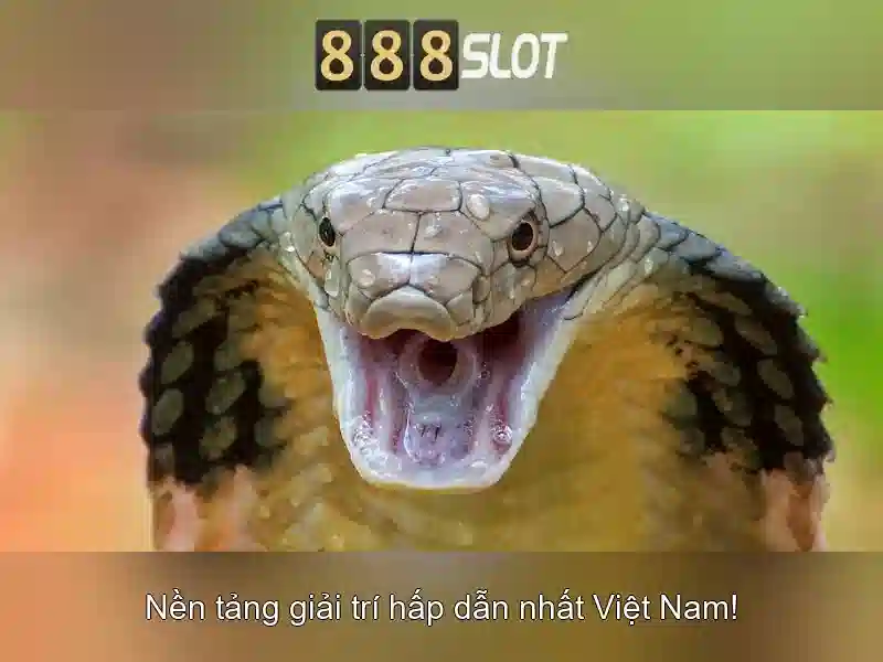 888Slot: Đánh giá nền tảng chơi slot trực tuyến và trải nghiệm người dùng