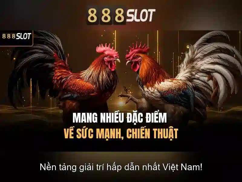 888slot - Trải nghiệm slot trực tuyến đỉnh cao