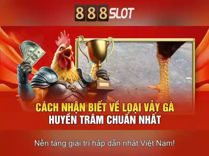 https://yesecart.com/images/text/888slot/888slot-text260330759.webp Trò chơi và lựa chọn