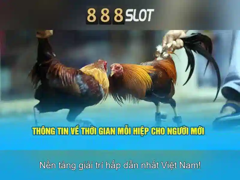 888slot - Đánh giá nền tảng chơi slot trực tuyến uy tín