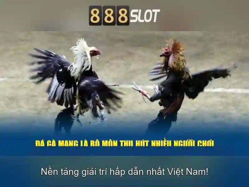 Giao diện nhà cái hoàn hảo